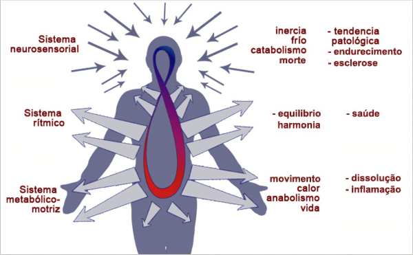 Medicina antroposófica